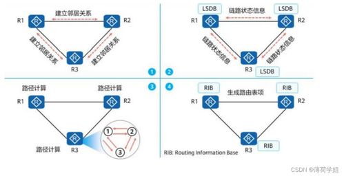 网络工程师必备核心 深度解析OSPF协议及其在计算机网络工程中的应用